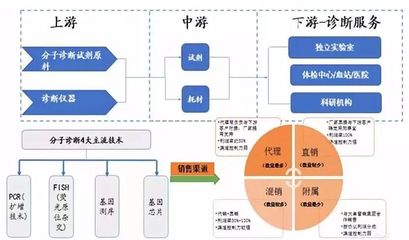 中国分子诊断行业分析 1096家企业的繁荣与以芯片为核心的创新路径